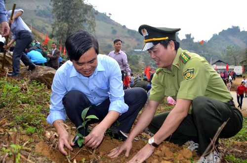 Provincia de Yen Bai revitaliza el medio ambiente con el Festival de Siembra de Árboles 2019 - ảnh 1