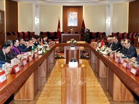 Vietnam y Marruecos fortalecen lazos de cooperación  - ảnh 1