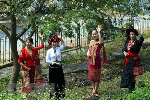 Vietnam por preservar la quintaesencia cultural de las etnias - ảnh 1