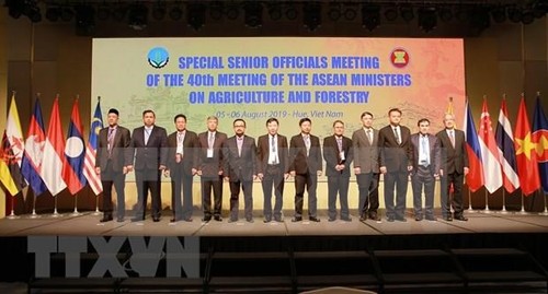 Comienza Conferencia de Altos Funcionarios de Agricultura y Silvicultura de la Asean en Vietnam - ảnh 1
