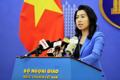 Vietnam reitera el rechazo a las acciones infractoras de China en las aguas nacionales - ảnh 1