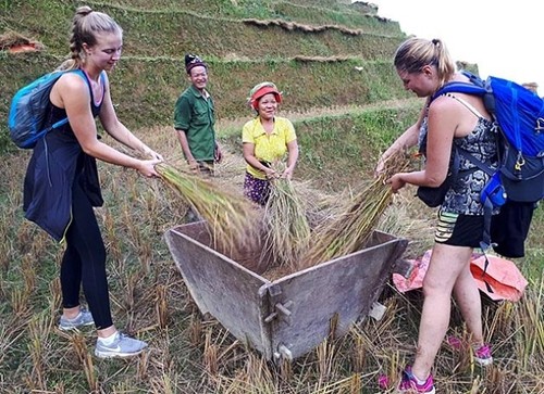 Agricultores de Ha Giang hacen turismo comunitario - ảnh 2
