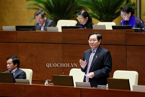 Parlamento vietnamita eleva la eficiencia de la interpelación   - ảnh 3