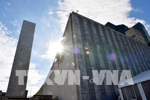 Oficina central de la ONU registra primer caso positivo de coronavirus - ảnh 1