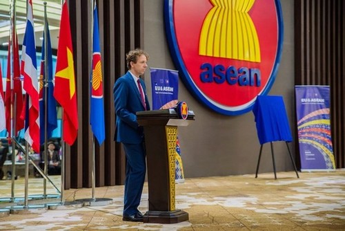 Embajador de Unión Europea en la Asean alaba el éxito de la 36 Cumbre del bloque - ảnh 1