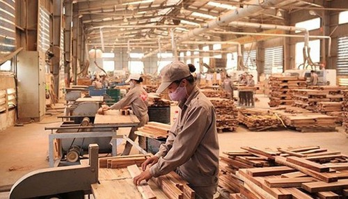 Vietnam planea lograr 12 mil millones de dólares en exportación silvícola - ảnh 1