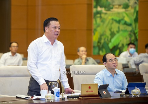 Asamblea Nacional de Vietnam considera importantes productos médicos y arroz para la Reserva Nacional - ảnh 1
