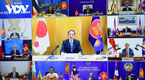 Vietnam contribuye a reforzar la asociación estratégica Asean-Japón - ảnh 1