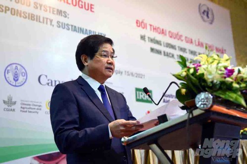 Vietnam garantiza la seguridad alimentaria propia y aporta al sistema mundial - ảnh 1