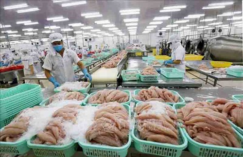 Productos pesqueros de Vietnam atraen a consumidores de importantes mercados del mundo - ảnh 1