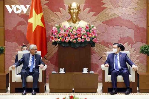 Vietnam afianza la cooperación con la ONU - ảnh 2