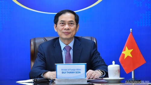 Vietnam apoya la resolución pacífica de las disputas internacionales - ảnh 1