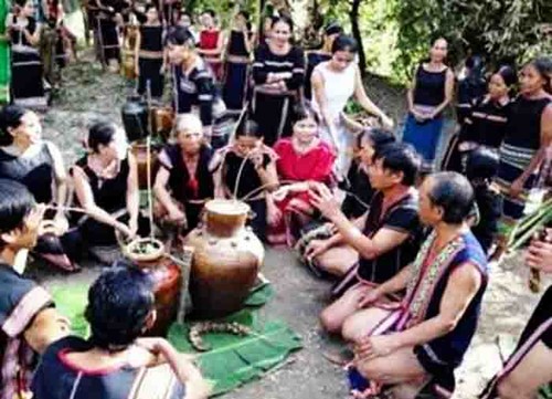 Rito de agradecimiento a las deidades de la etnia Bahnar en Gia Lai - ảnh 1