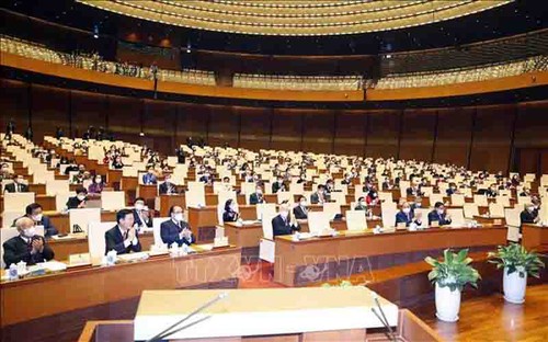 Comienza la reunión extraordinaria del Parlamento vietnamita, XV legislatura - ảnh 2