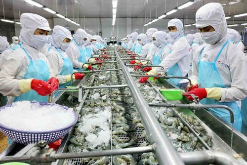 Aumenta la exportación de productos pesqueros de Vietnam en los primeros cinco meses de 2022 - ảnh 1