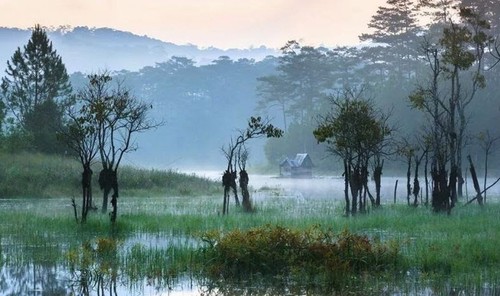 La belleza del lago Tuyen Lam en Da Lat - ảnh 6