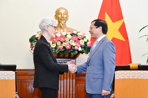 Vietnam y Estados Unidos se esfuerzan por una asociación integral más sustantiva - ảnh 1