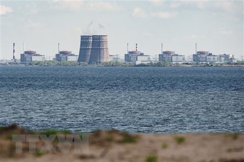 Rusia reafirma su apoyo a visita del OIEA a la central nuclear de Zaporiyia, en Ucrania - ảnh 1