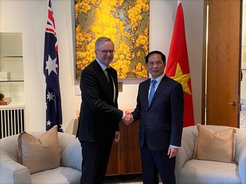 Australia prioriza el desarrollo de asociación estratégica con Vietnam - ảnh 1