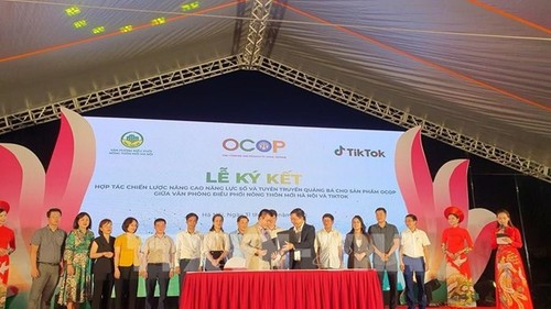 Fortalecerán uso de la plataforma TikTok para promocionar productos OCOP en Hanói - ảnh 1