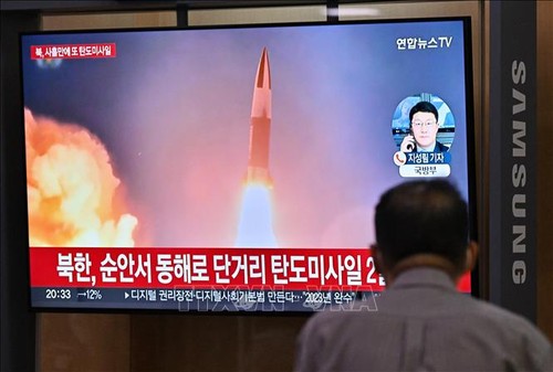 China y Rusia rechazan reunión del Consejo de Seguridad de la ONU sobre Corea del Norte - ảnh 1