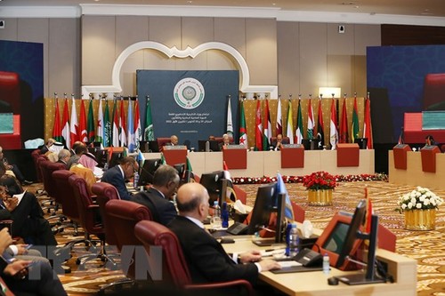 Líderes árabes comprometidos a trabajar para abordar los desafíos globales y regionales - ảnh 1