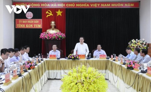 Kon Tum busca un desarrollo sostenible de los productos de ginseng Ngoc Linh - ảnh 1