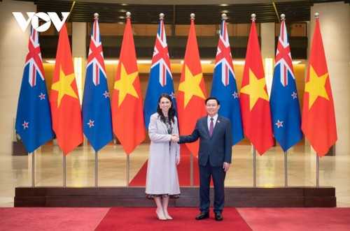 Vietnam y Nueva Zelanda fortalecen la cooperación multifacética - ảnh 1