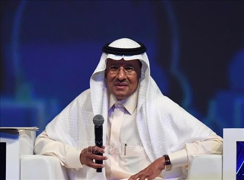 OPEP+ toma decisiones para estabilizar el mercado petrolero mundial - ảnh 1