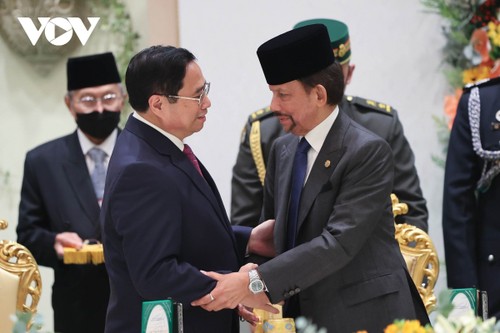 Vietnam y Brunéi acuerdan fortalecer la asociación integral bilateral - ảnh 1