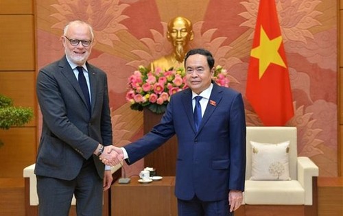 Vietnam y Francia consolidan la cooperación multifacética - ảnh 1
