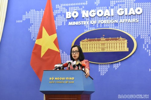 Vietnam considera nulas y sin efecto las actividades sin permiso del país en Truong Sa (Spratly) - ảnh 1