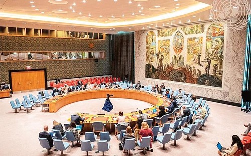 Consejo de Seguridad de la ONU debate el conflicto Israel-Palestina - ảnh 1