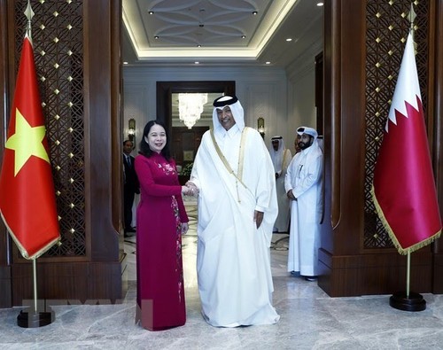 Impulso a la cooperación integral Vietnam-Qatar - ảnh 1