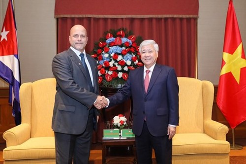 Aumenta cooperación entre Frente de la Patria de Vietnam y Comités de Defensa de Revolución de Cuba - ảnh 1
