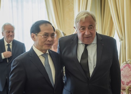 El ministro de Relaciones Exteriores Bui Thanh Son se reúne con el presidente del Senado francés - ảnh 1