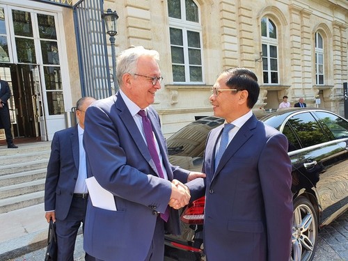 El ministro de Relaciones Exteriores Bui Thanh Son se reúne con el presidente del Senado francés - ảnh 2