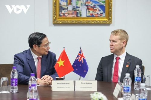 Impulso a la cooperación con Nueva Zelanda y Mongolia - ảnh 1