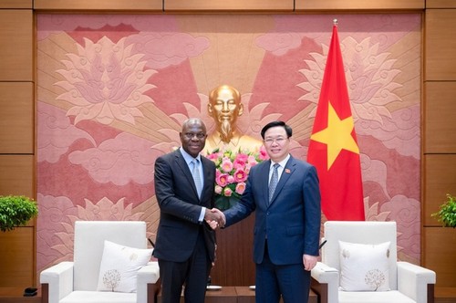 Vietnam destaca la importancia de la cooperación con la OIT - ảnh 1
