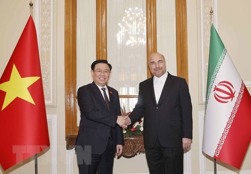Vietnam e Irán impulsan los lazos de cooperación multisectorial - ảnh 1