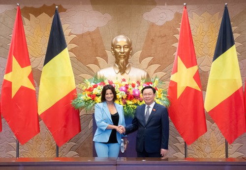El presidente del Parlamento, Vuong Dinh Hue, se reúne con la titular del Senado belga - ảnh 1