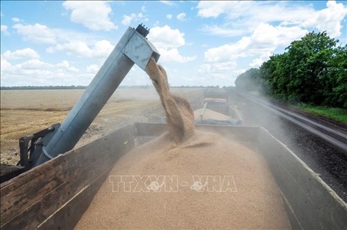 Polonia se compromete a facilitar el tránsito de cereales ucranianos - ảnh 1