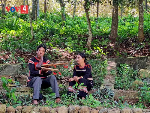 Vigorizan patrimonios culturales de la etnia Ede en Dak Lak - ảnh 1