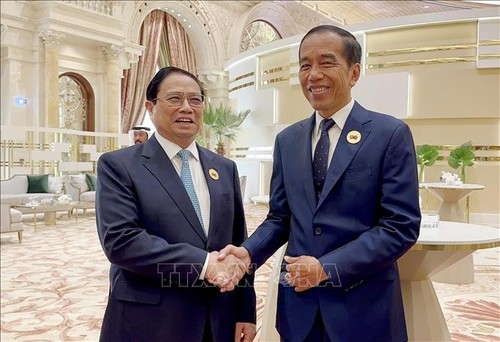 Primer Ministro de Vietnam se reúne con altos dirigentes de varios países al margen de la cumbre CCG-ASEAN - ảnh 1