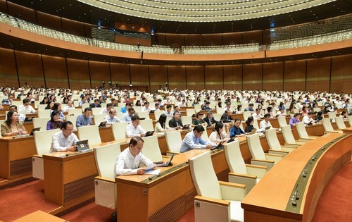 Asamblea Nacional inicia otorgamiento del voto de confianza   - ảnh 1