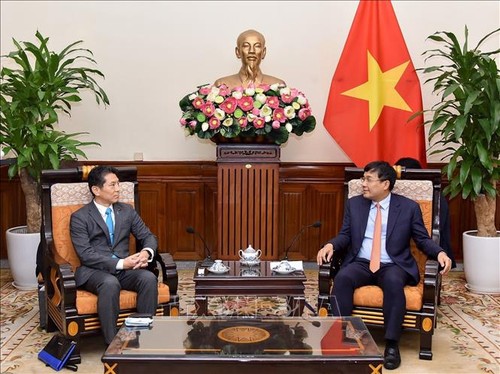 Vietnam destaca a Japón como socio primordial a largo plazo - ảnh 1