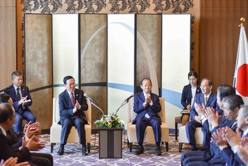 Un impulso a la cooperación con la Alianza Parlamentaria Amistad Japón-Vietnam - ảnh 1
