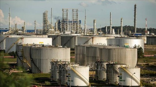 Brasil se unirá a la OPEP+ el próximo año, mientras Rusia y Arabia Saudita recortan la producción de petróleo - ảnh 1