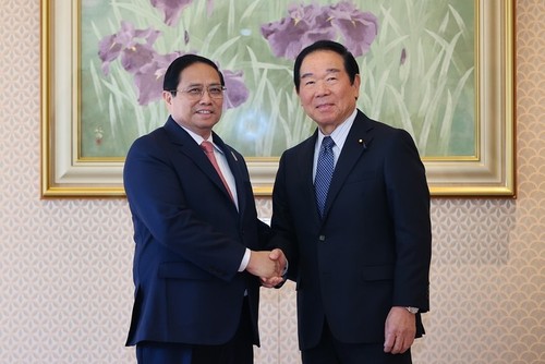 Primer Ministro de Vietnam se reúne con los Presidentes de las Cámaras de Representantes y Consejeros de Japón - ảnh 1