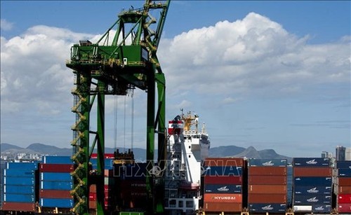 Brasil fortalece importaciones desde Vietnam - ảnh 1